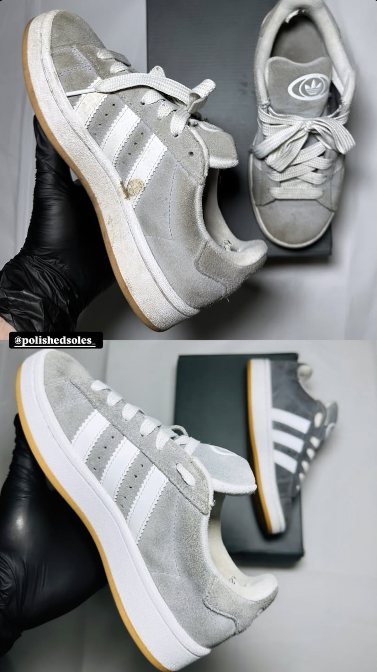 Trainer restoration result